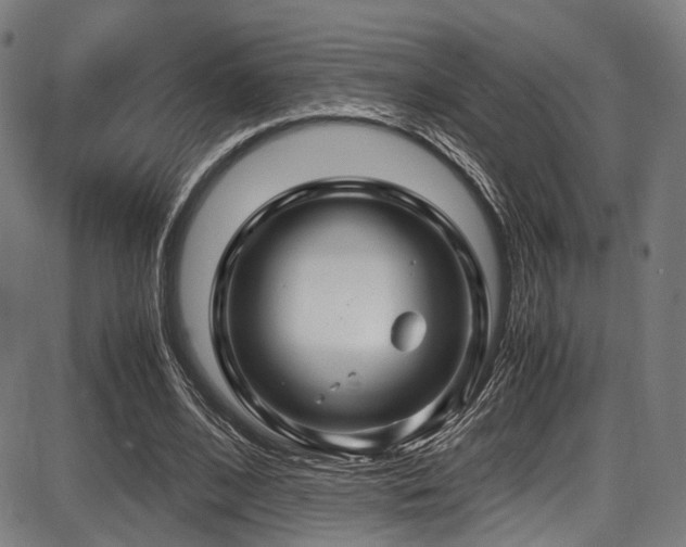 X0000087640584200705031512