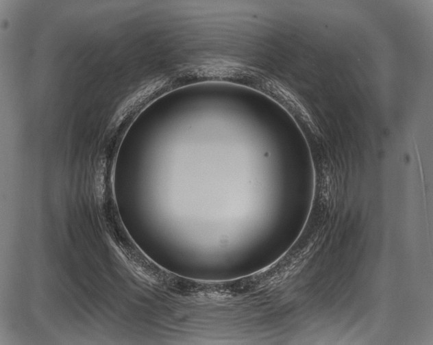 X0000087640586200705031512