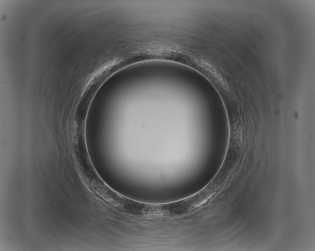 X0000087640587200705031512