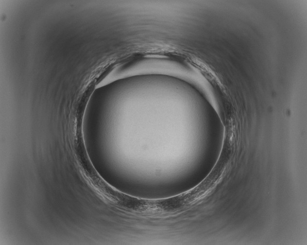 X0000087640589200705031512