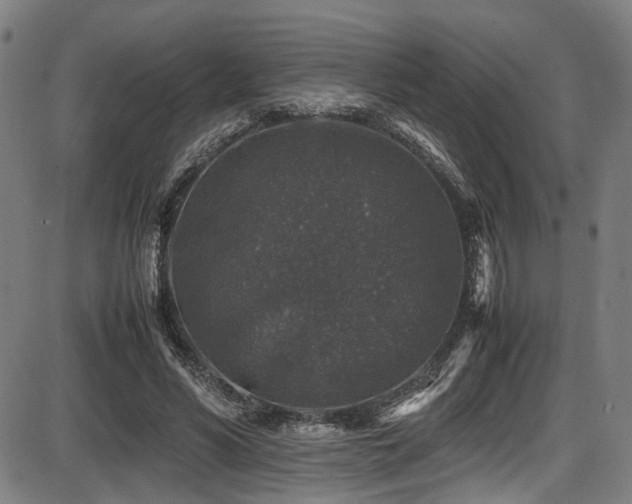 X0000087640590200705031512