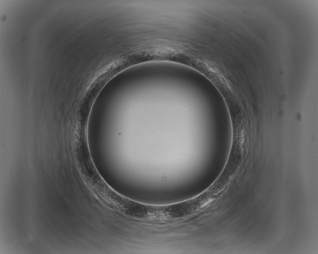 X0000087640591200705031512