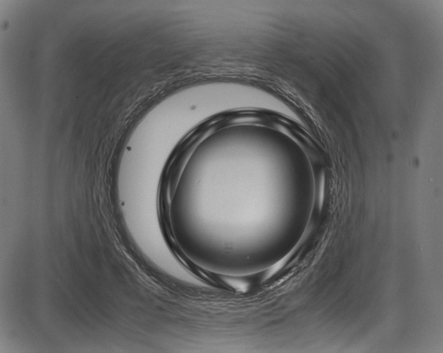 X0000087640593200705031512