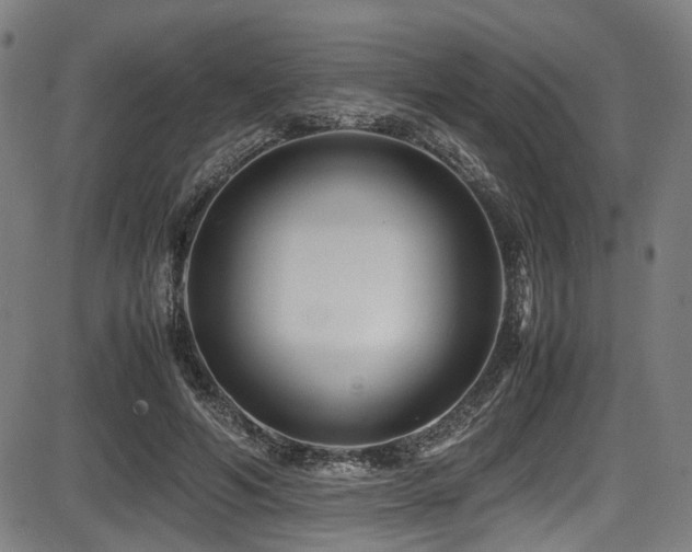 X0000087640594200705031512