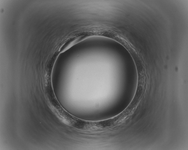 X0000087640597200705031512