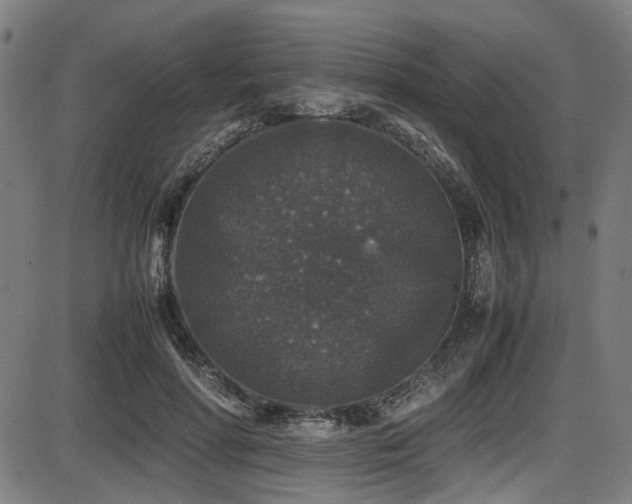 X0000087640598200705031512