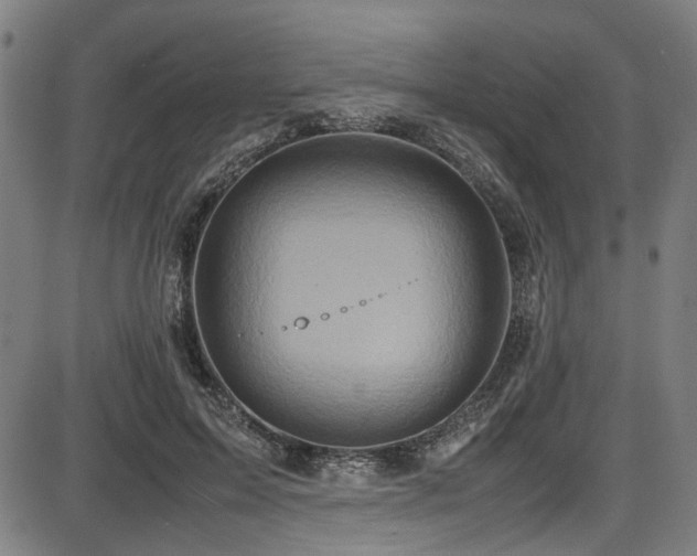 X0000087640599200705031512