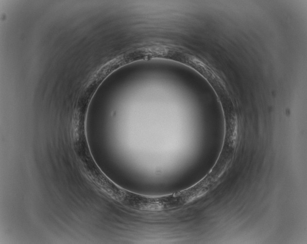 X0000087640600200705031512