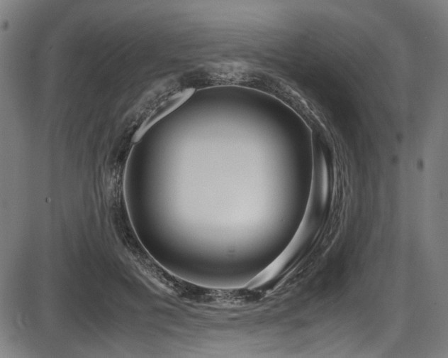 X0000087640601200705031512