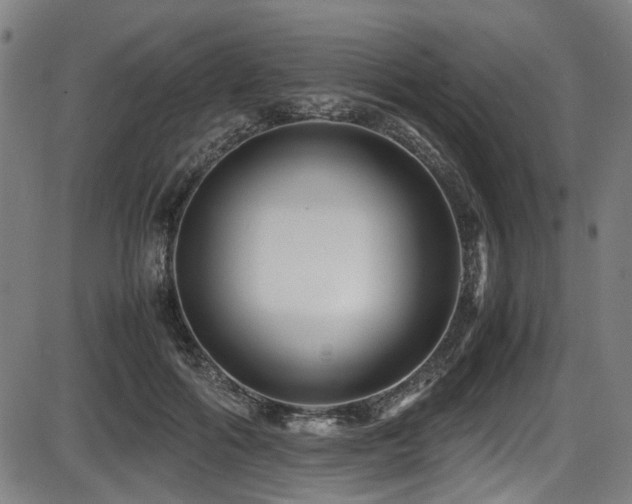 X0000087640602200705031512