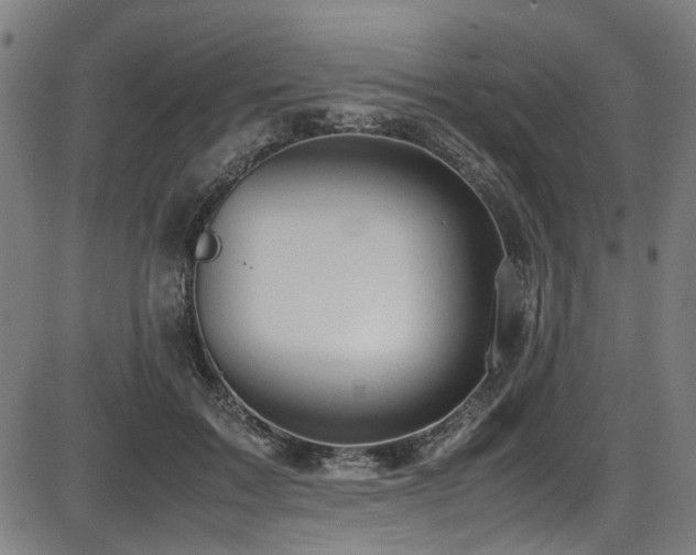 X0000087640603200705031512