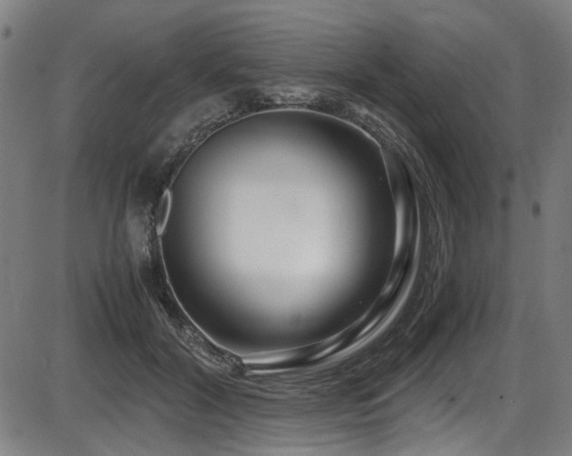 X0000087640604200705031512