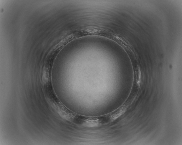 X0000087640606200705031512