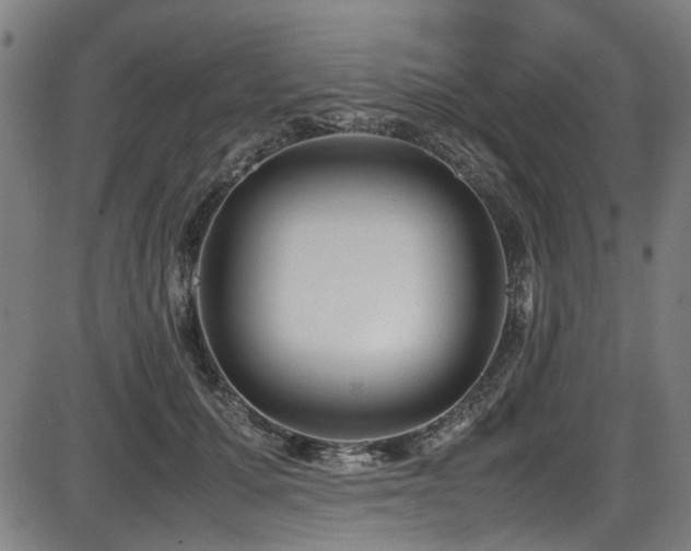 X0000087640607200705031512