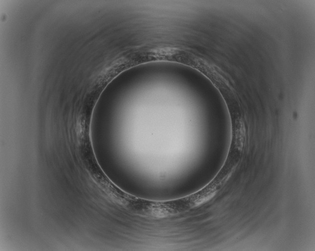 X0000087640608200705031512