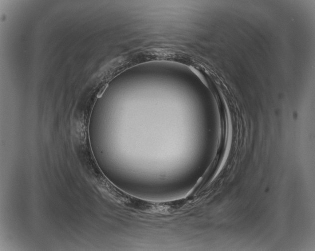 X0000087640609200705031512