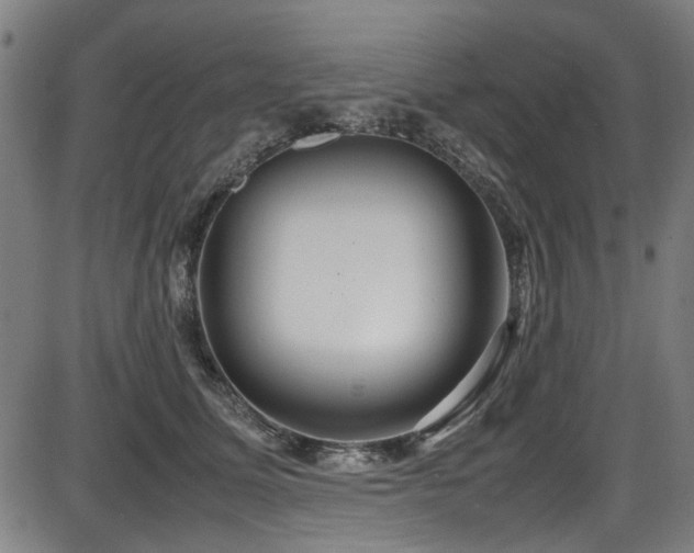 X0000087640611200705031512