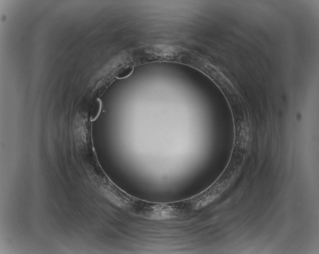 X0000087640612200705031512