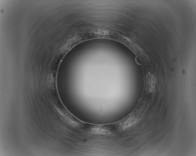 X0000087640614200705031512