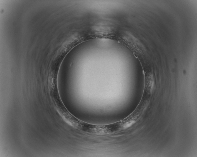 X0000087640615200705031512