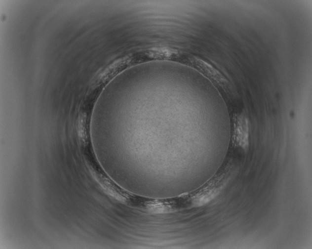 X0000087640616200705031512