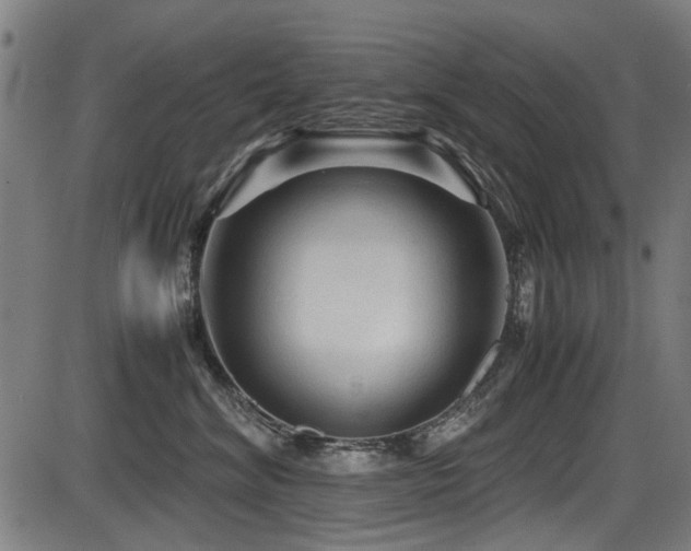 X0000087640620200705031512