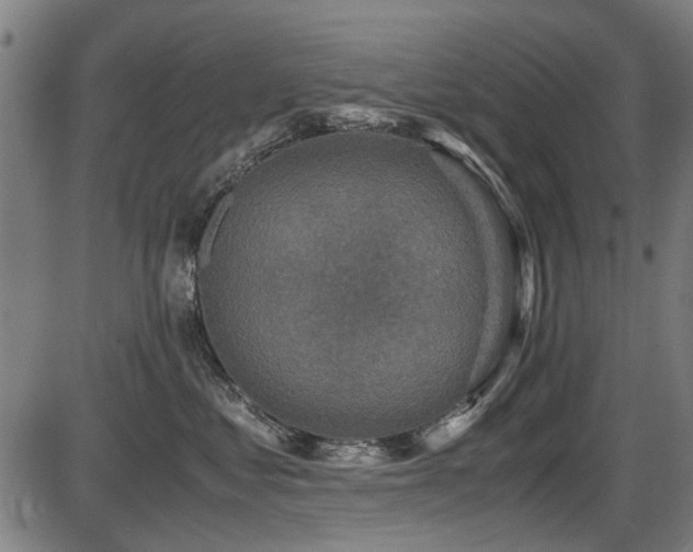 X0000087640621200705031512