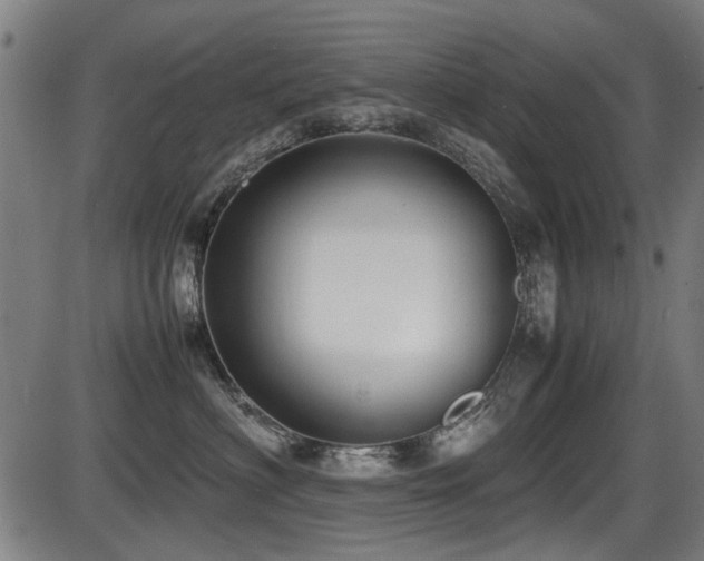 X0000087640622200705031512