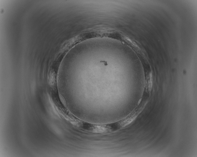 X0000087640623200705031512