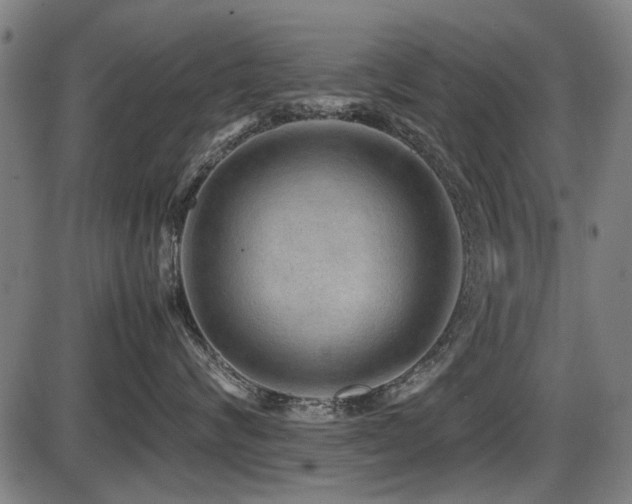 X0000087640624200705031512