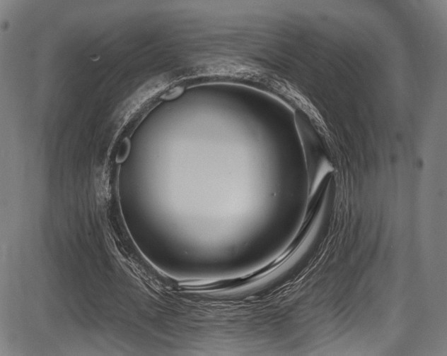 X0000087640628200705031511