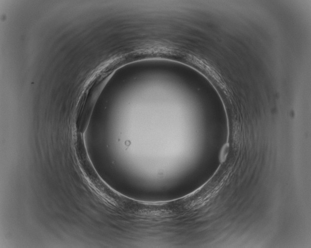 X0000087640629200705031511