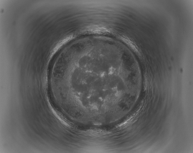 X0000087640630200705031511