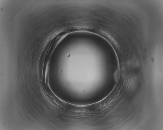 X0000087640631200705031511