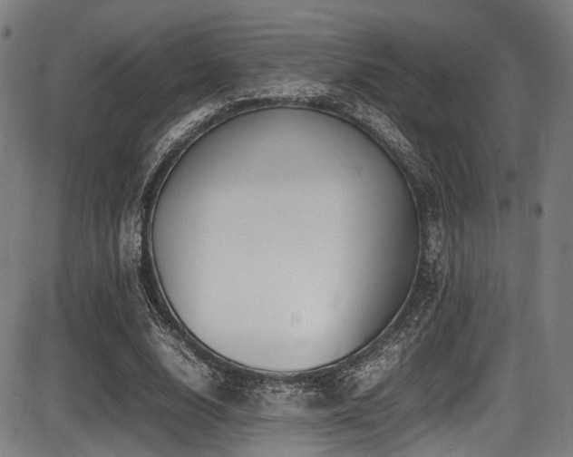 X0000087640632200705031511