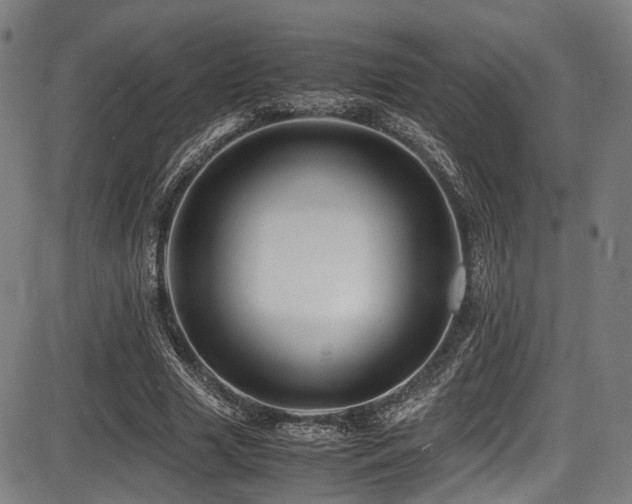 X0000087640633200705031511