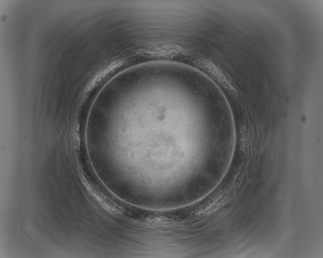 X0000087640634200705031511