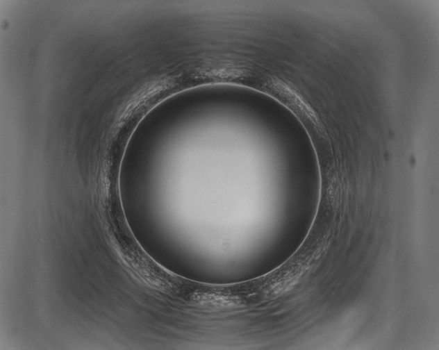 X0000087640635200705031511