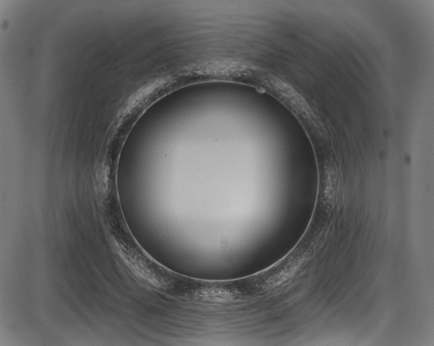 X0000087640636200705031511