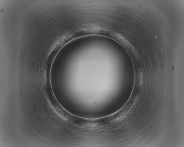 X0000087640638200705031511