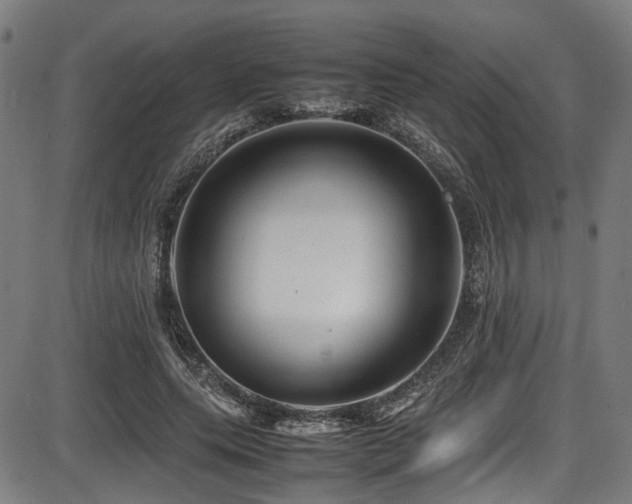 X0000087640639200705031511