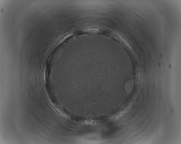 X0000087640641200705031511