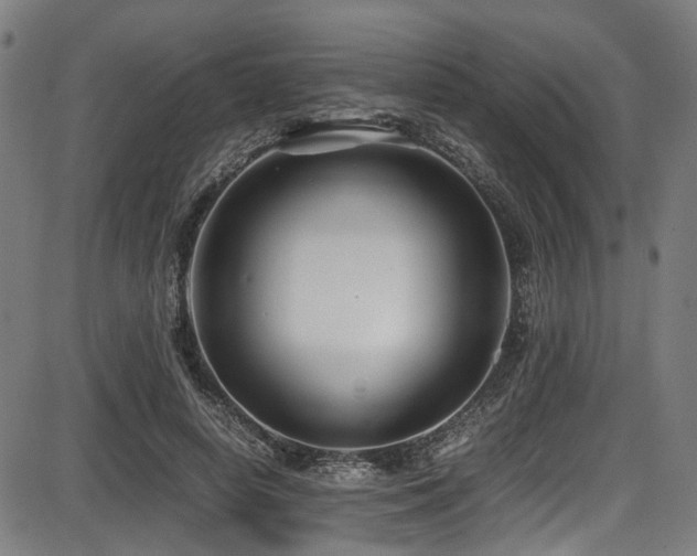 X0000087640642200705031511