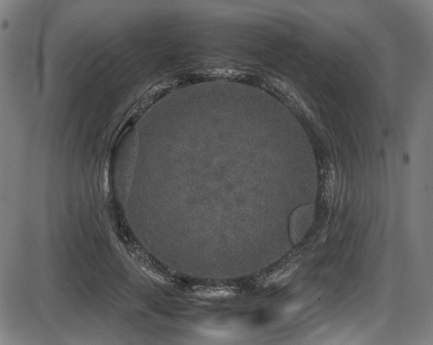 X0000087640643200705031511