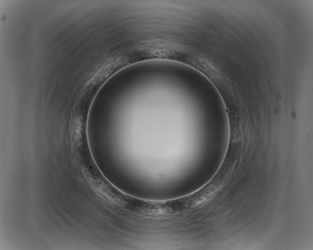 X0000087640646200705031511