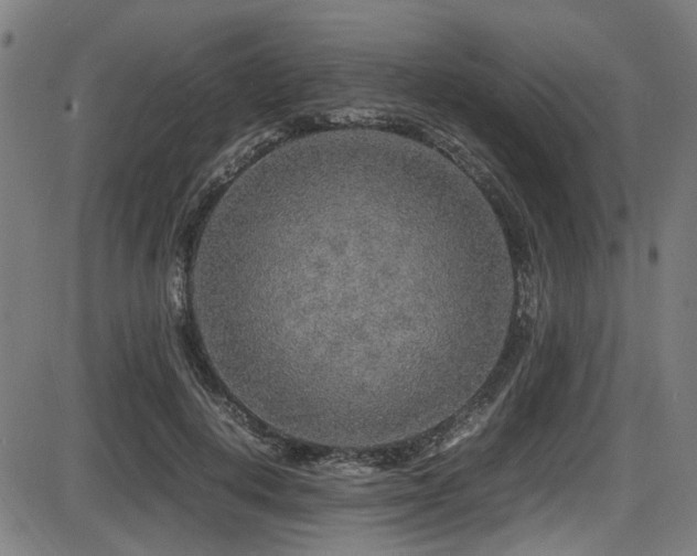 X0000087640648200705031511