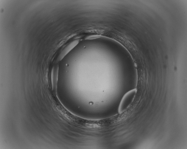 X0000087640649200705031511