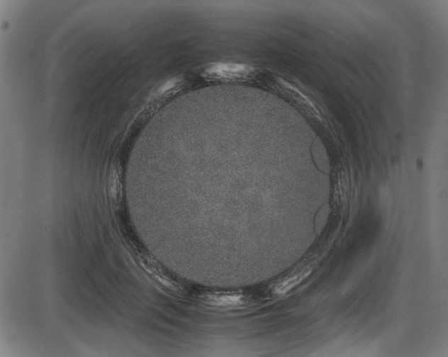 X0000087640651200705031511