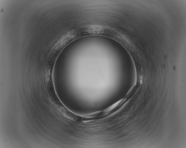 X0000087640652200705031511