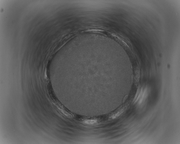 X0000087640653200705031511